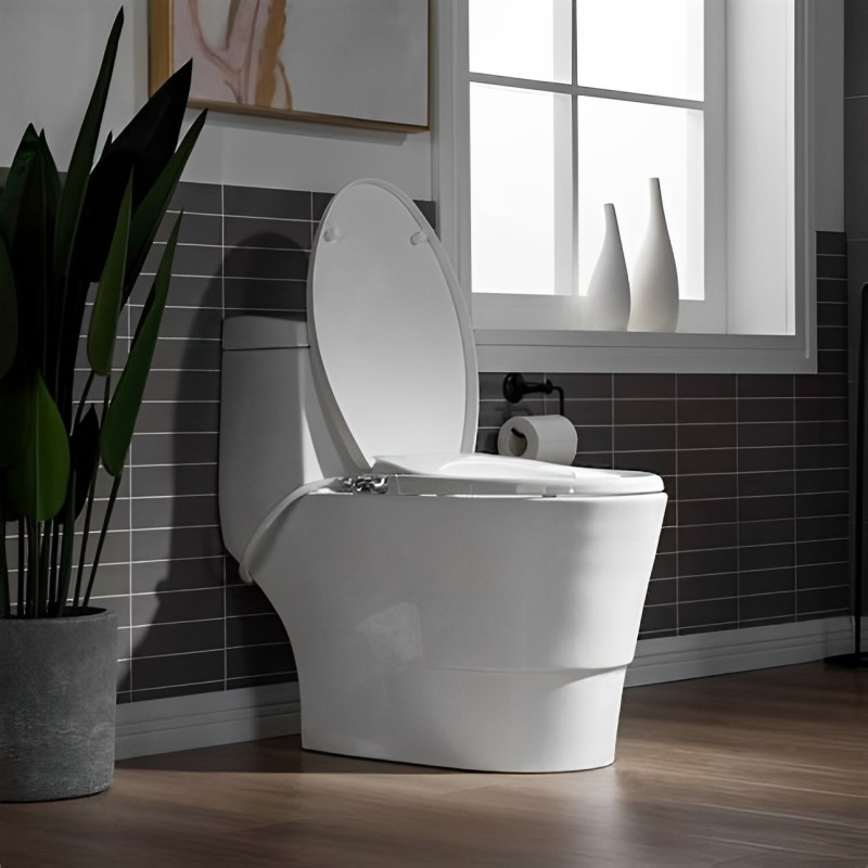 bidet in toilet